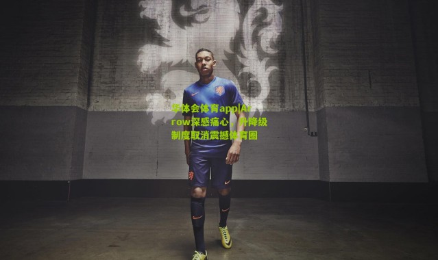 华体会体育app|Arrow深感痛心，升降级制度取消震撼体育圈